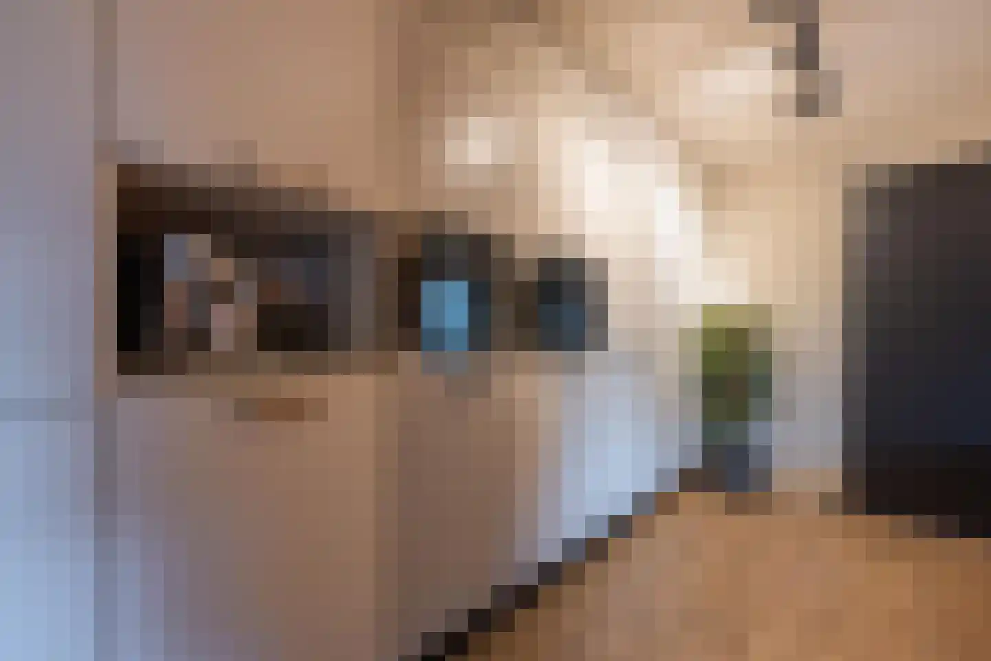 Gelderse Singel 72 Lienden thumbnail 29