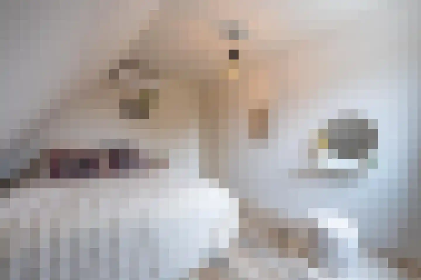 Gelderse Singel 72 Lienden thumbnail 39