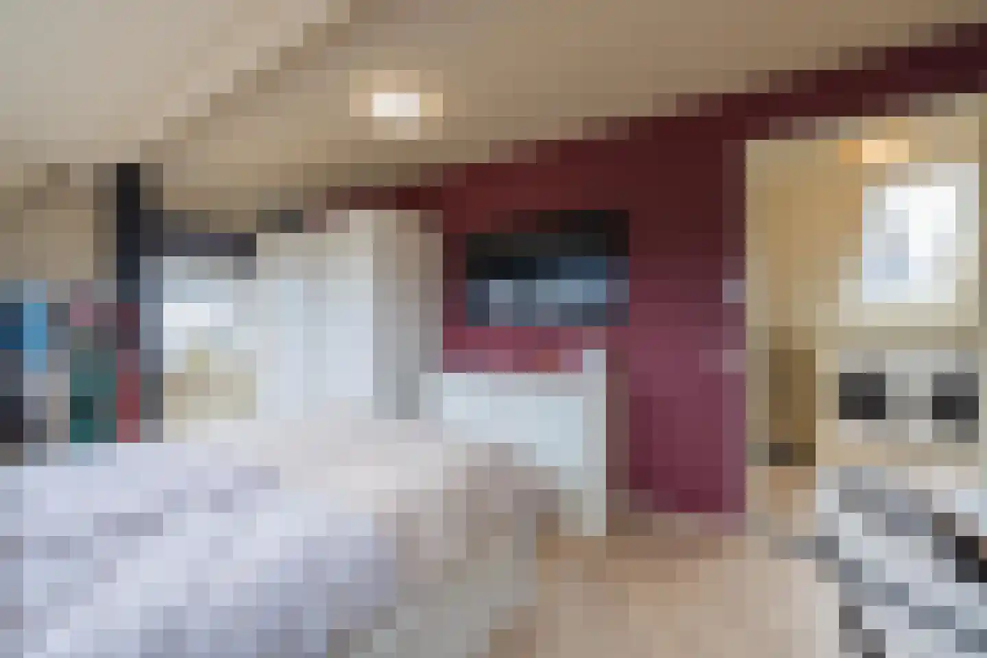 Gelderse Singel 72 Lienden thumbnail 41