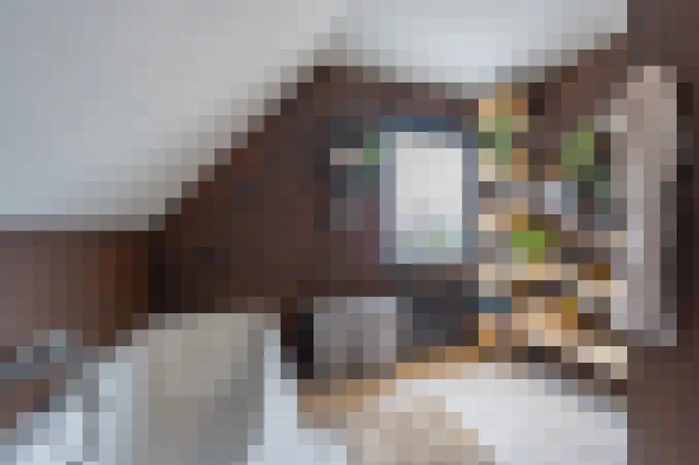 Gelderse Singel 72 Lienden thumbnail 47