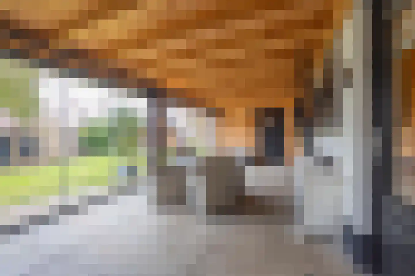 Gelderse Singel 72 Lienden thumbnail 51