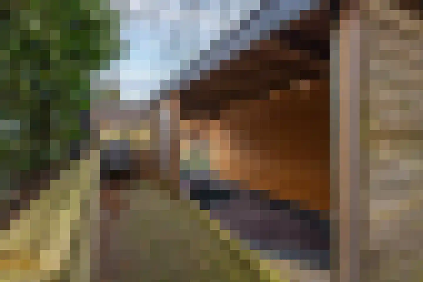Gelderse Singel 72 Lienden thumbnail 59