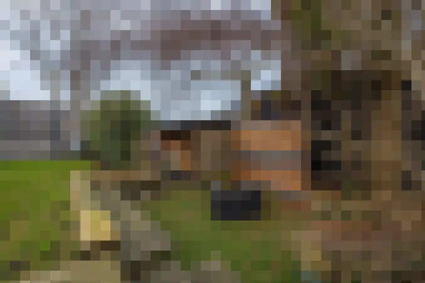 Gelderse Singel 72 Lienden thumbnail 61