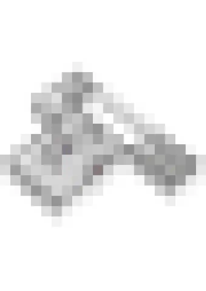 Gelderse Singel 72 Lienden thumbnail 66