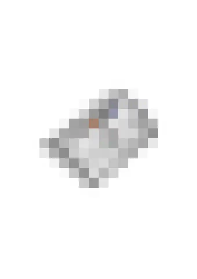 Gelderse Singel 72 Lienden thumbnail 68
