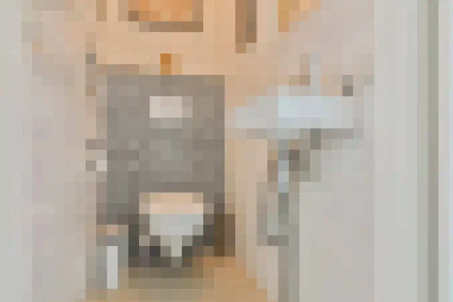 Gelderse Singel 79 Lienden thumbnail 12