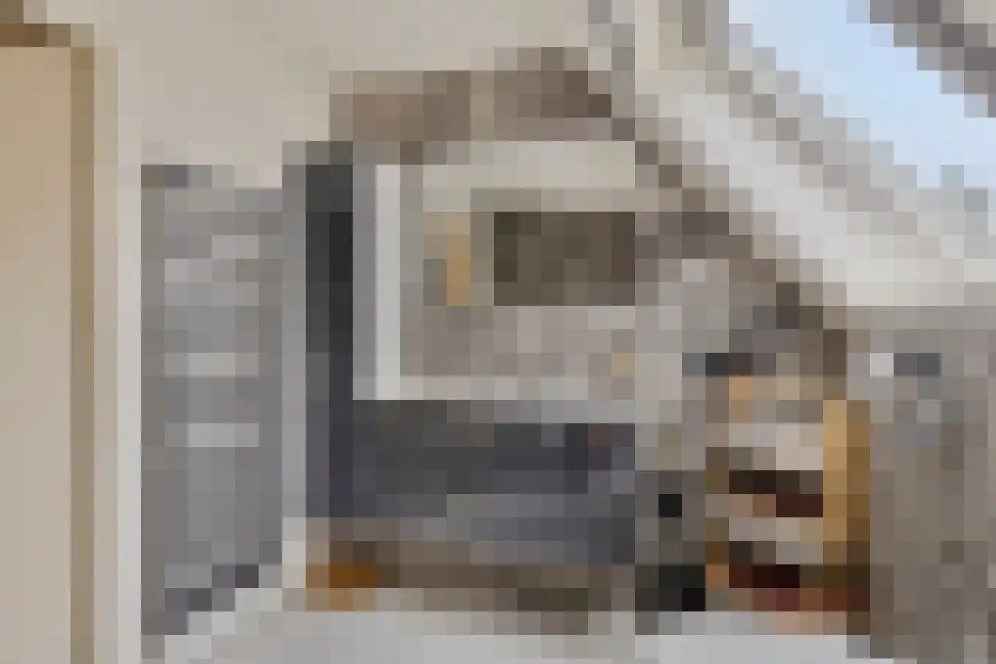 Gelderse Singel 79 Lienden thumbnail 18