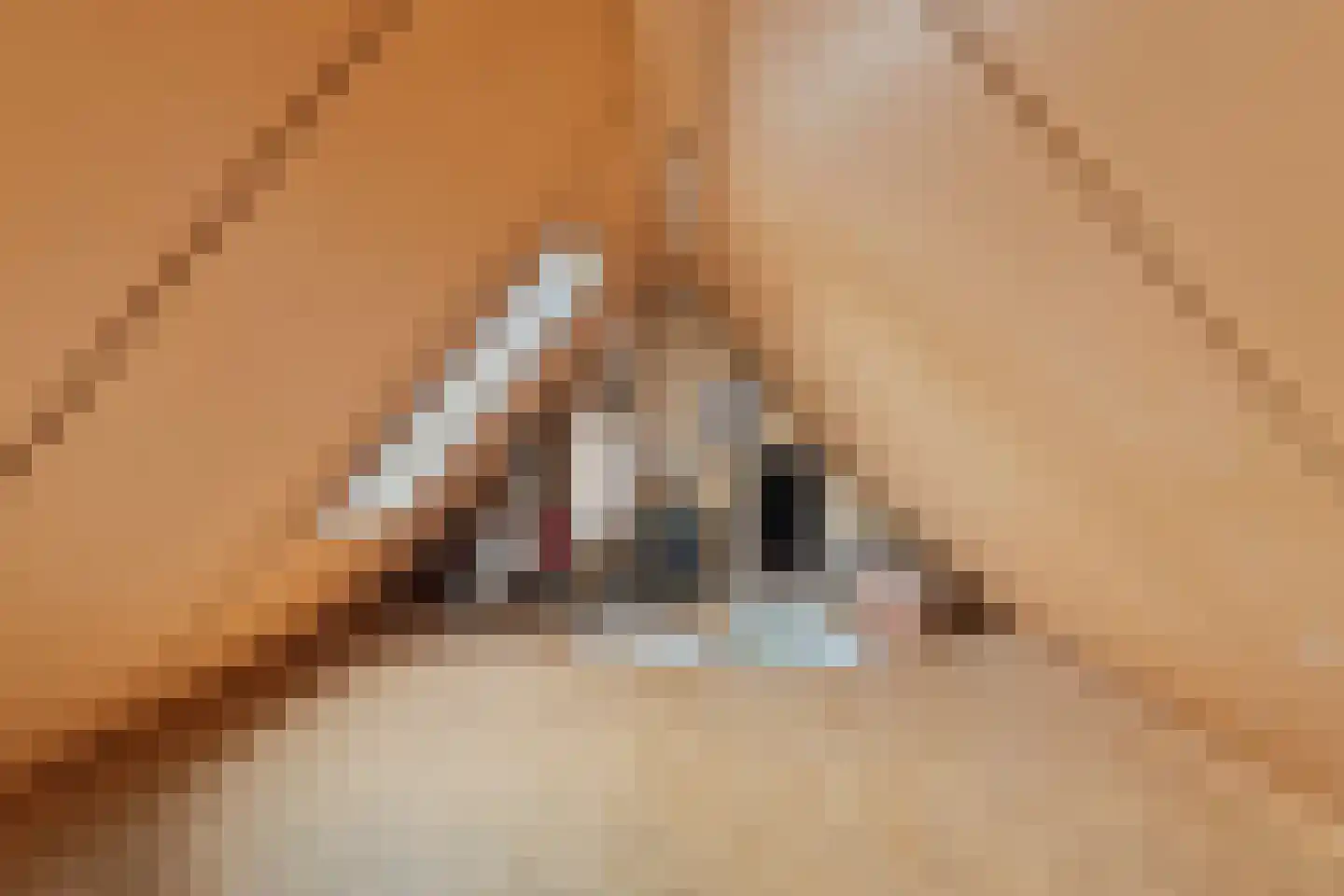 Gelderse Singel 79 Lienden thumbnail 21