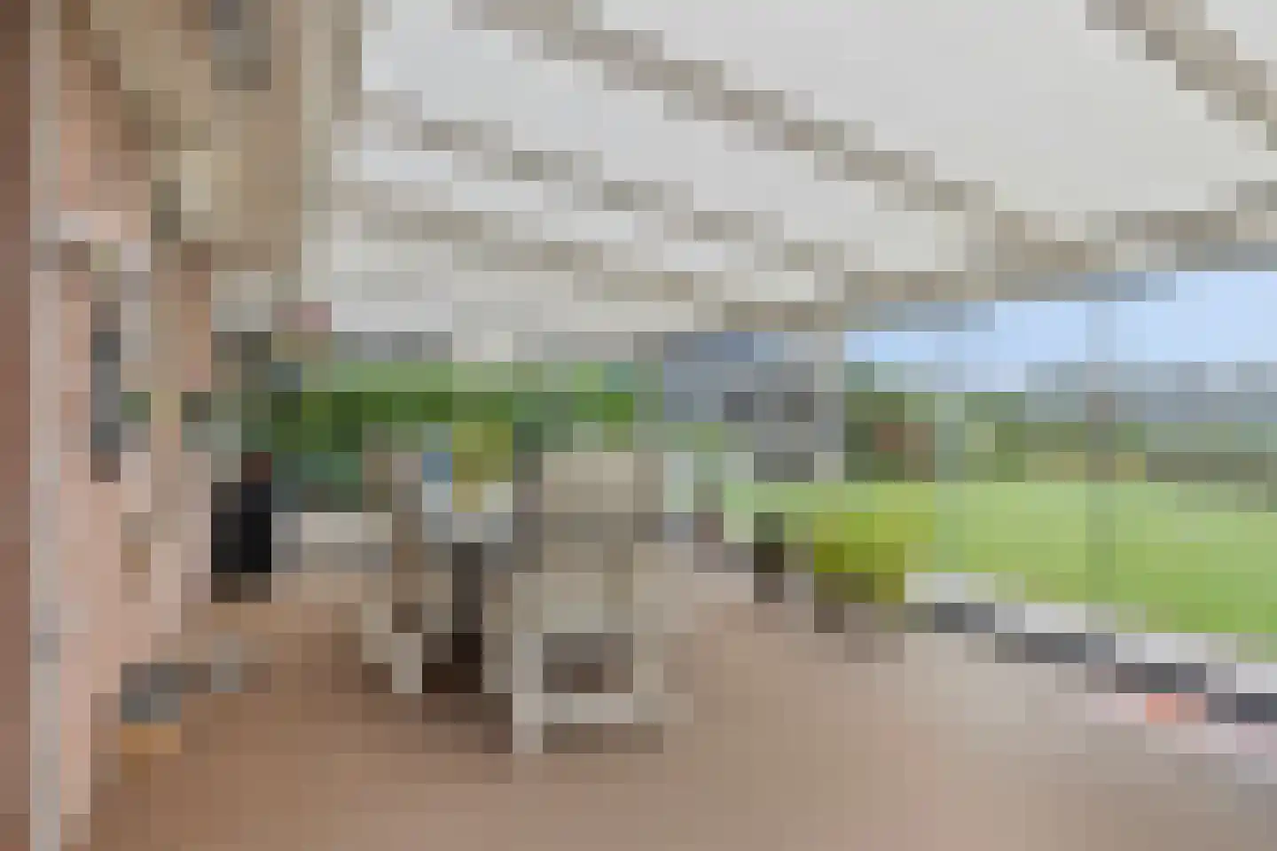 Gelderse Singel 79 Lienden thumbnail 22