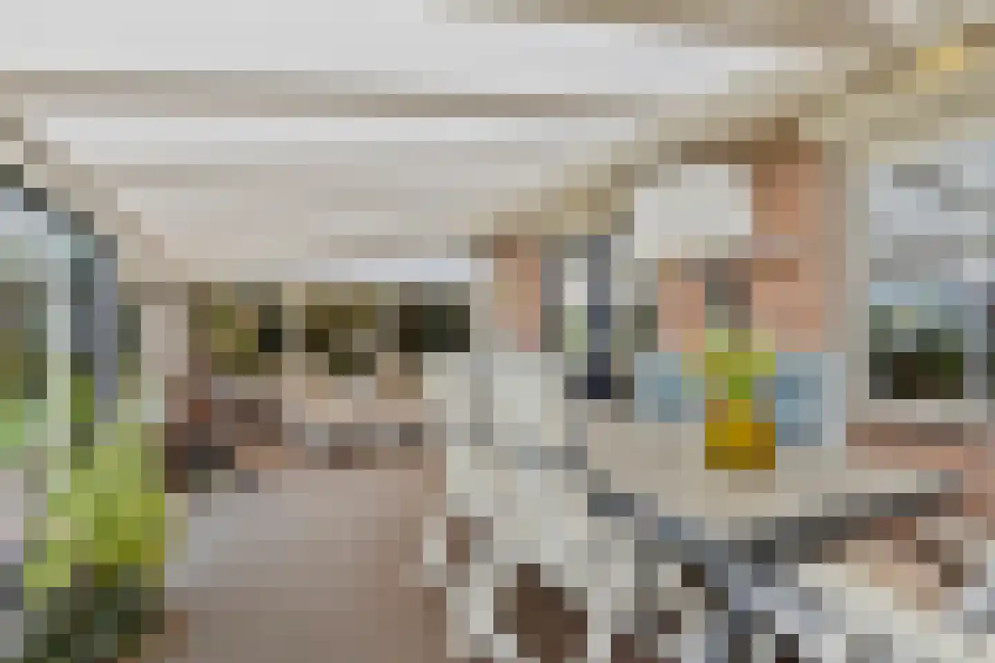 Gelderse Singel 79 Lienden thumbnail 23