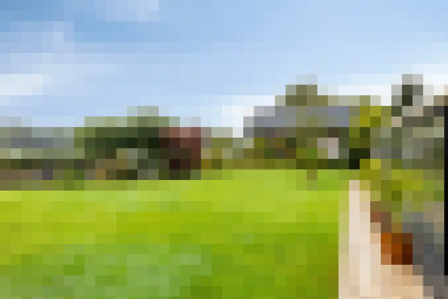 Gelderse Singel 79 Lienden thumbnail 25