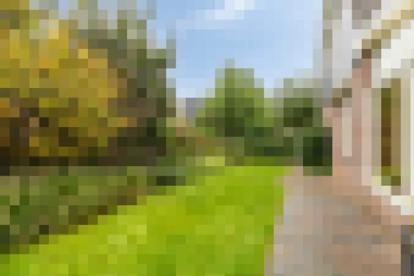 Gelderse Singel 79 Lienden thumbnail 27