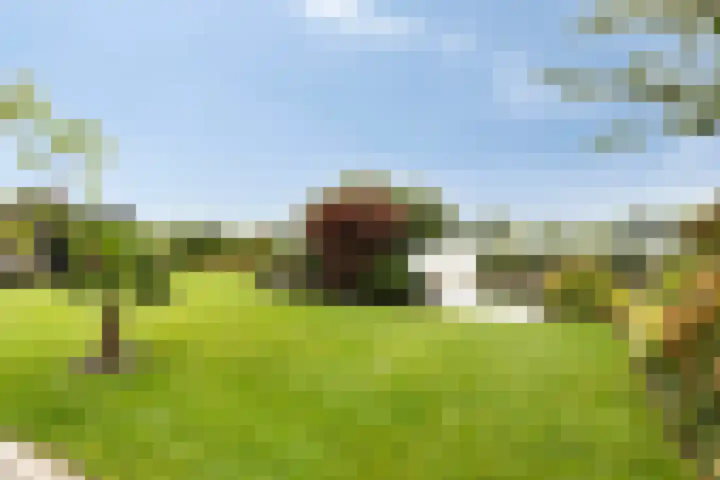 Gelderse Singel 79 Lienden thumbnail 28