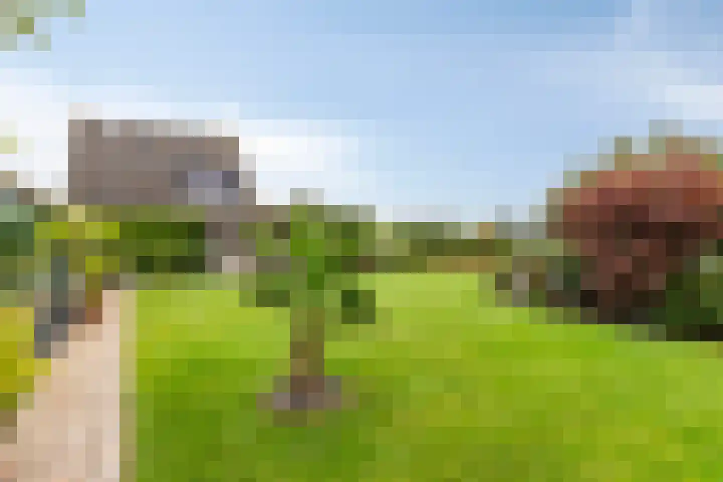 Gelderse Singel 79 Lienden thumbnail 29