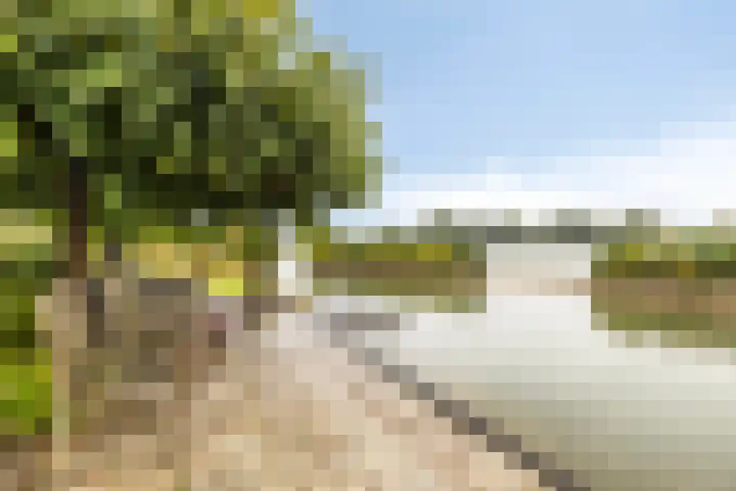 Gelderse Singel 79 Lienden thumbnail 30