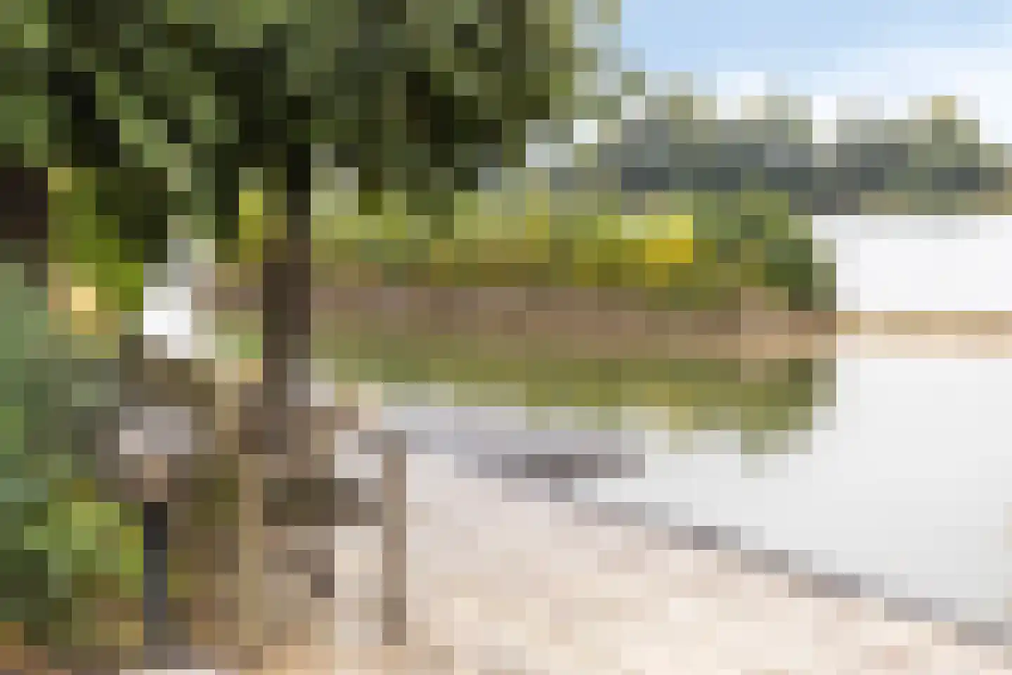 Gelderse Singel 79 Lienden thumbnail 31