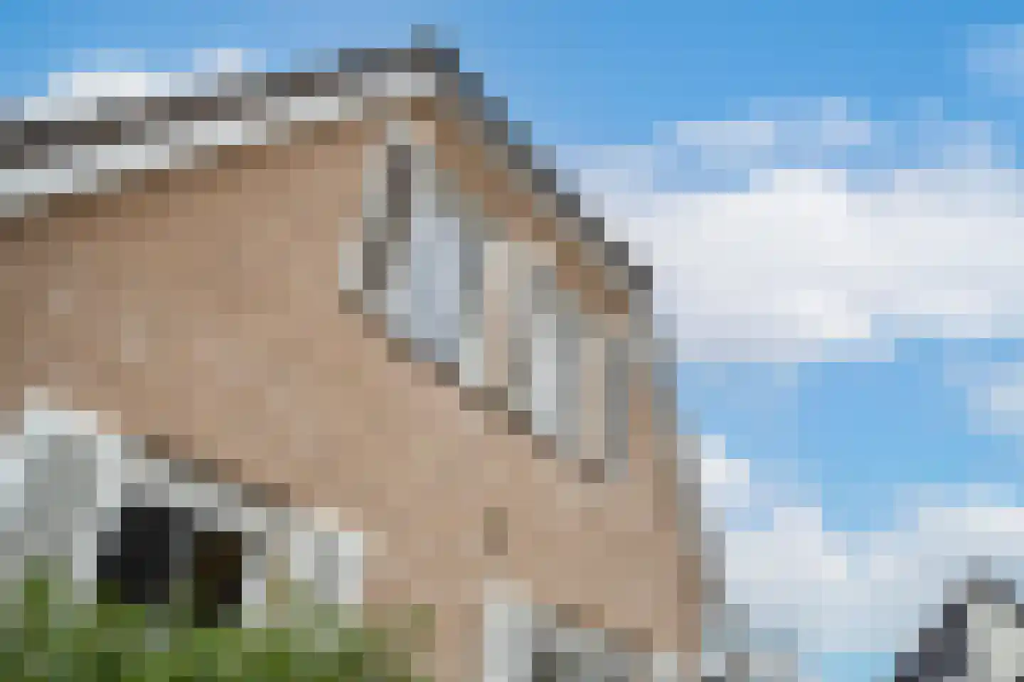 Gelderse Singel 80 Lienden thumbnail 10