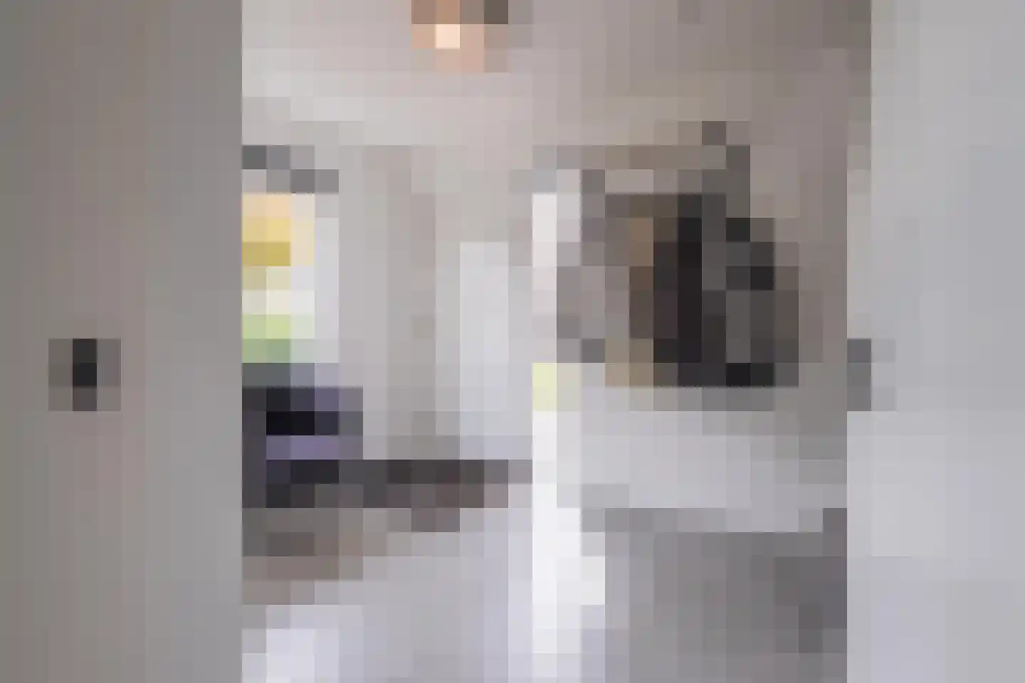 Gelderse Singel 80 Lienden thumbnail 15
