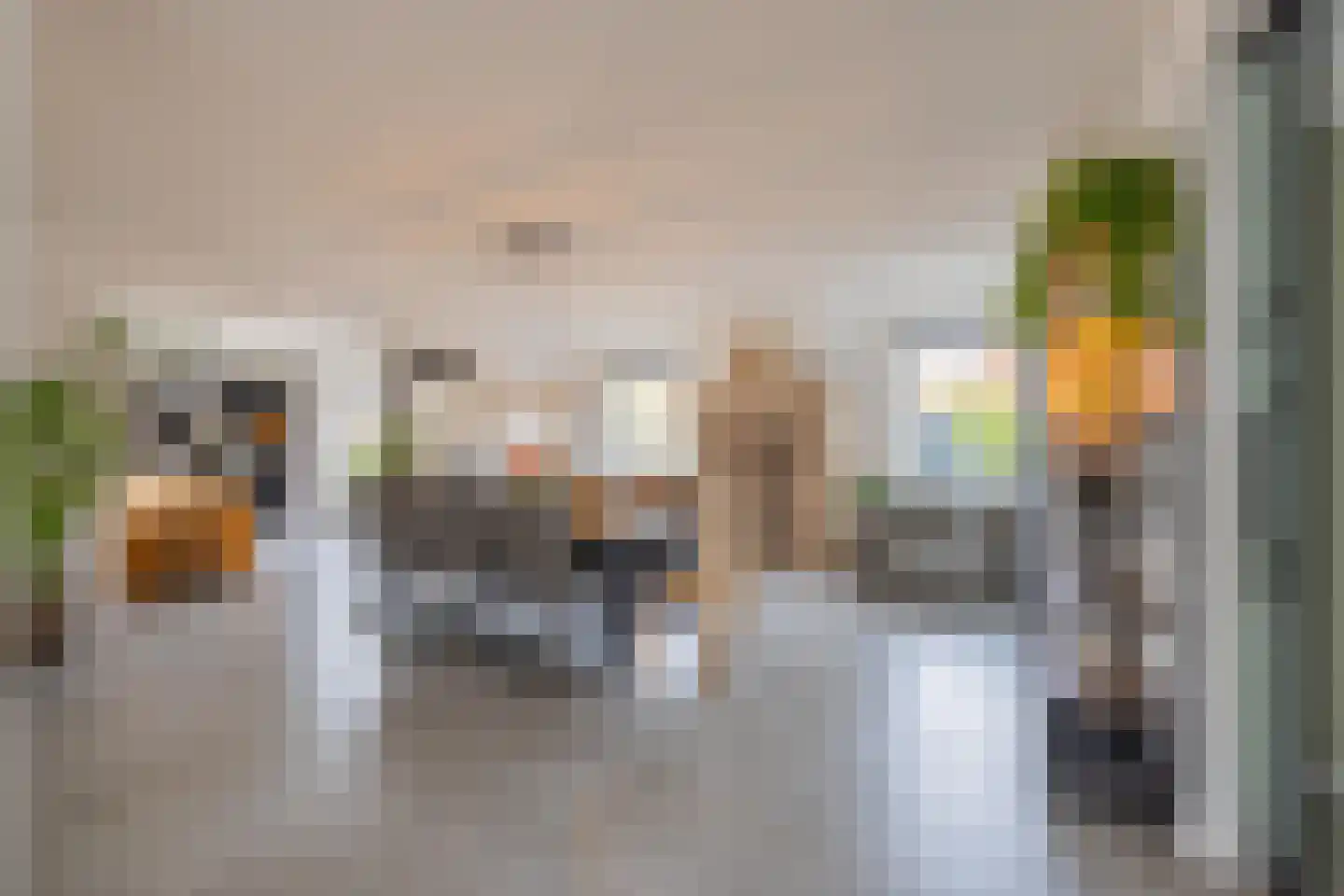Gelderse Singel 80 Lienden thumbnail 17