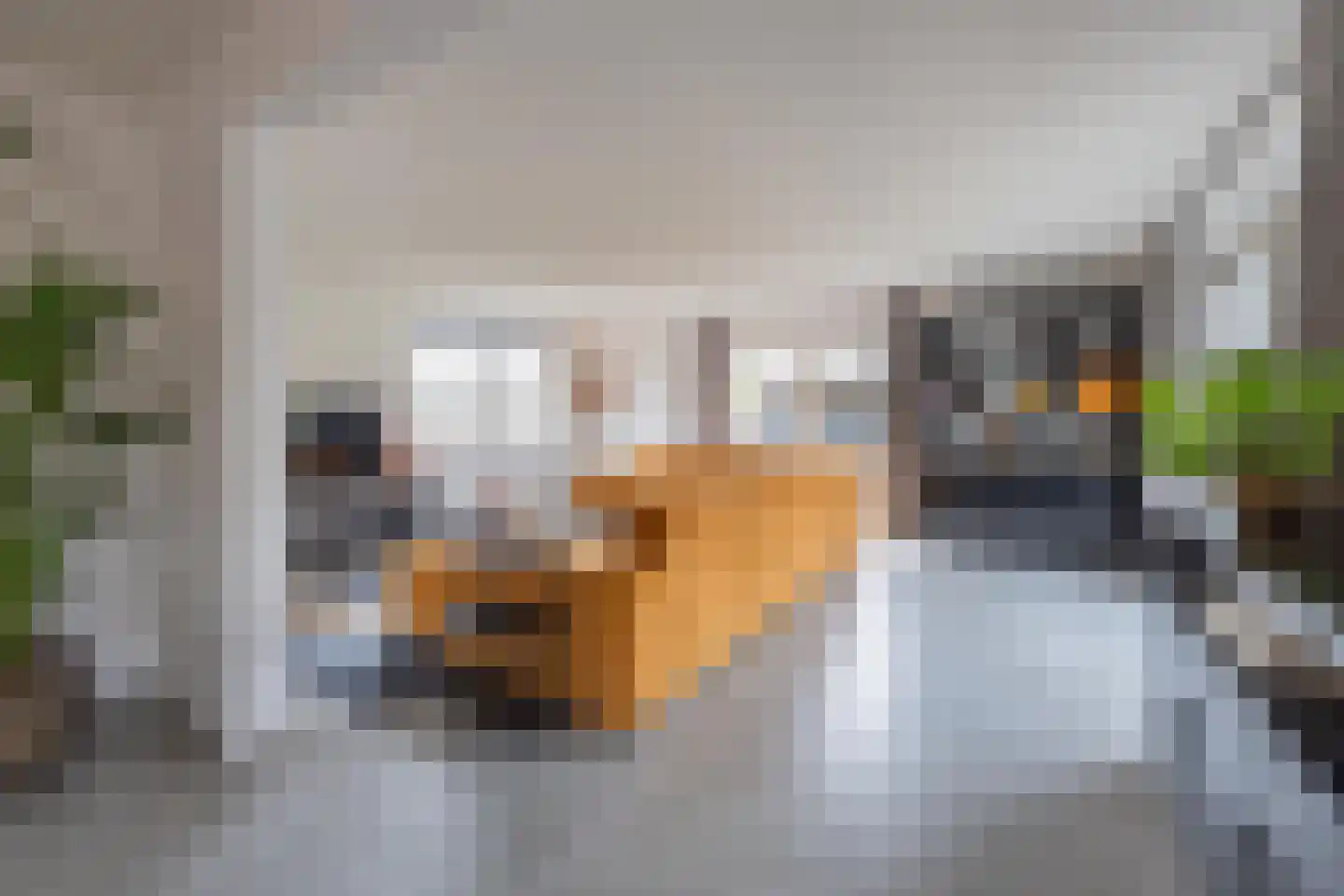Gelderse Singel 80 Lienden thumbnail 24