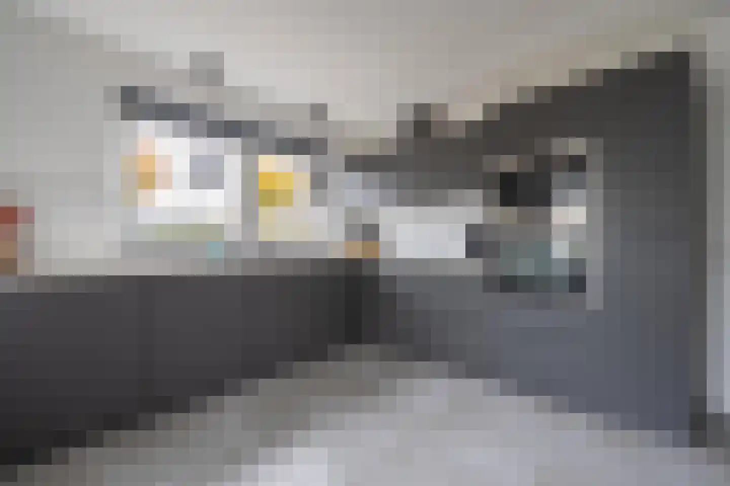 Gelderse Singel 80 Lienden thumbnail 32