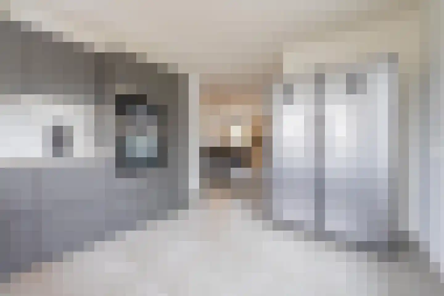 Gelderse Singel 80 Lienden thumbnail 33