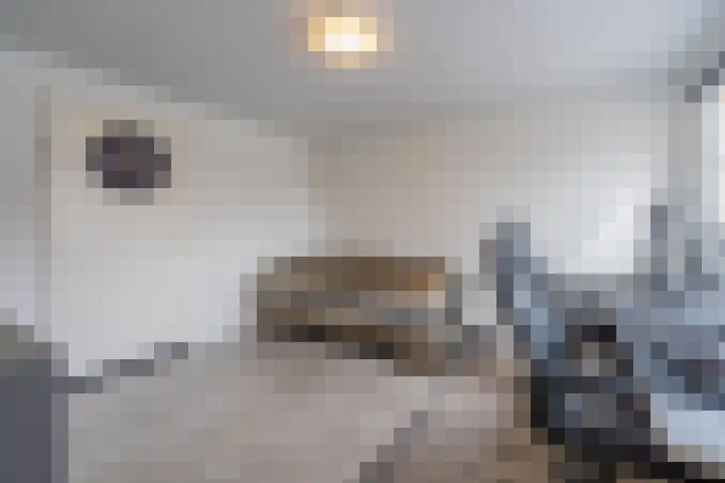 Gelderse Singel 80 Lienden thumbnail 36