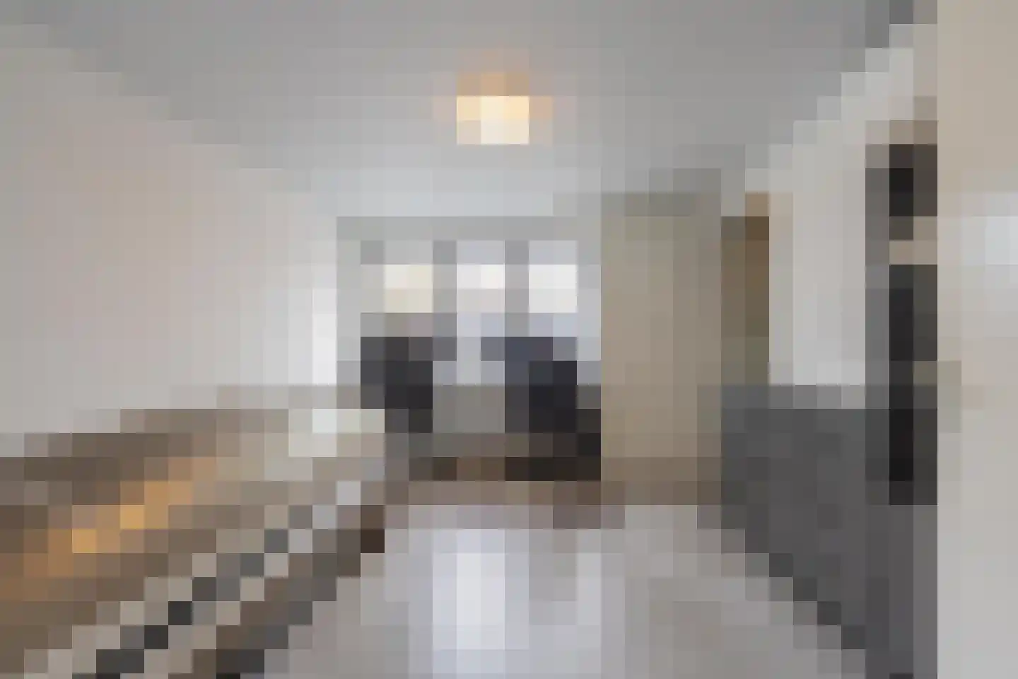 Gelderse Singel 80 Lienden thumbnail 37