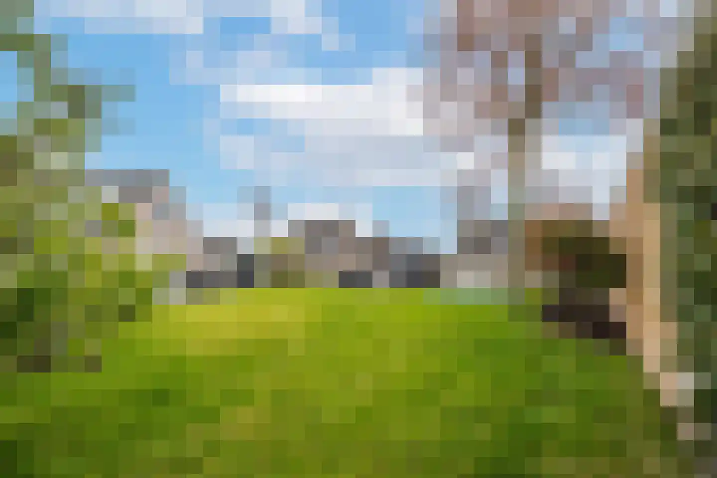 Gelderse Singel 80 Lienden thumbnail 49