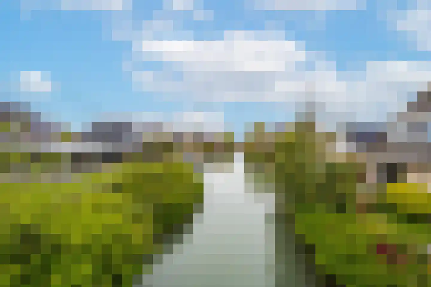 Gelderse Singel 80 Lienden thumbnail 6