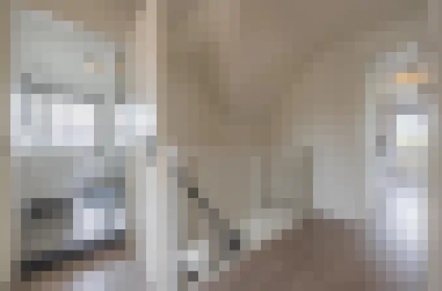 Gelderse Singel 80 Lienden thumbnail 62