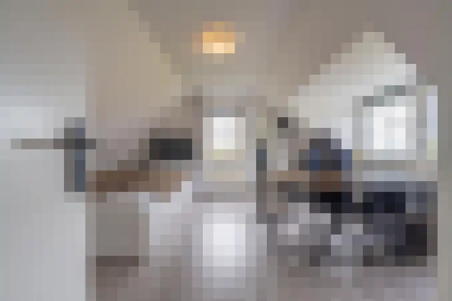 Gelderse Singel 80 Lienden thumbnail 63