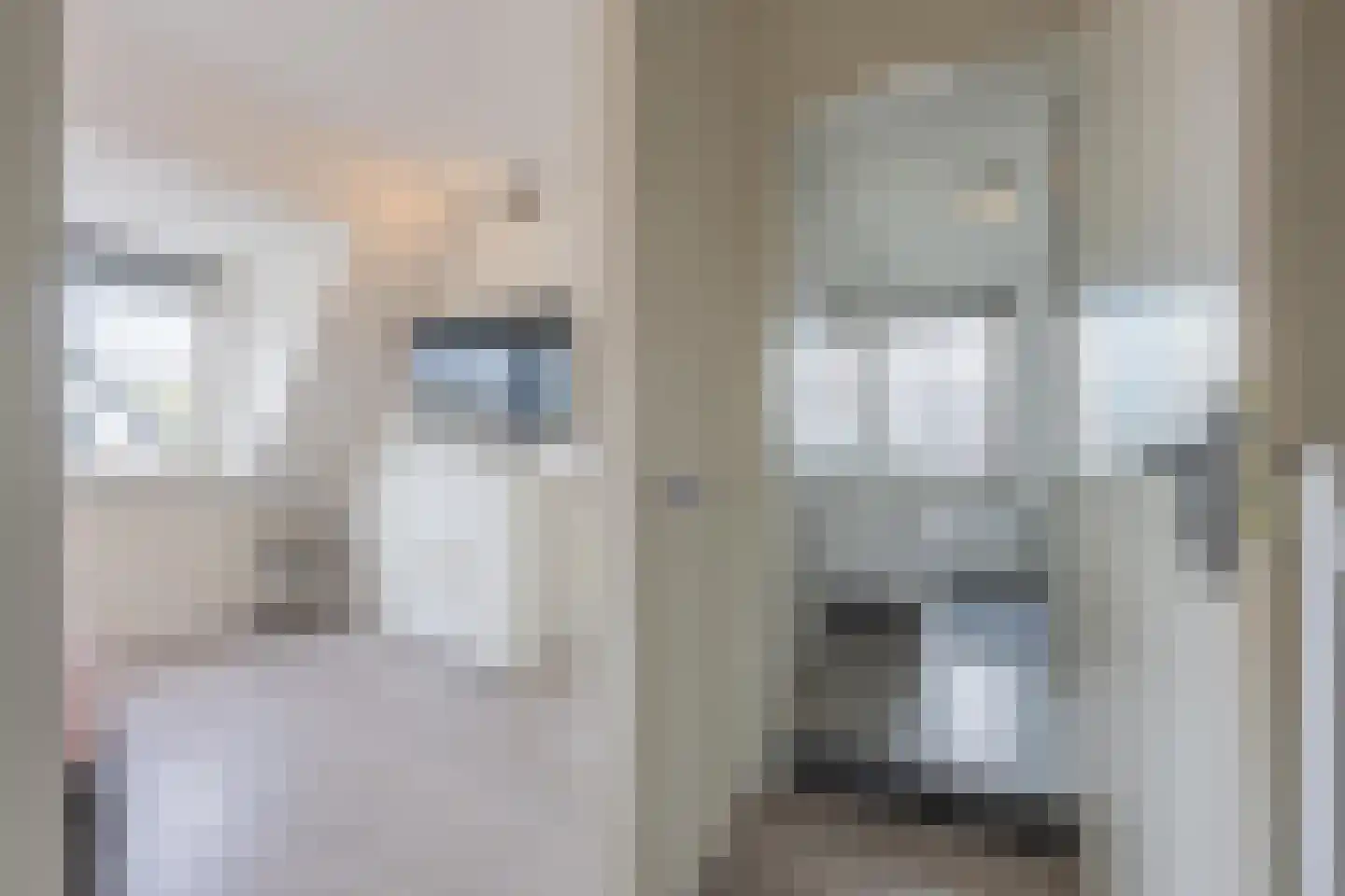 Gelderse Singel 80 Lienden thumbnail 73