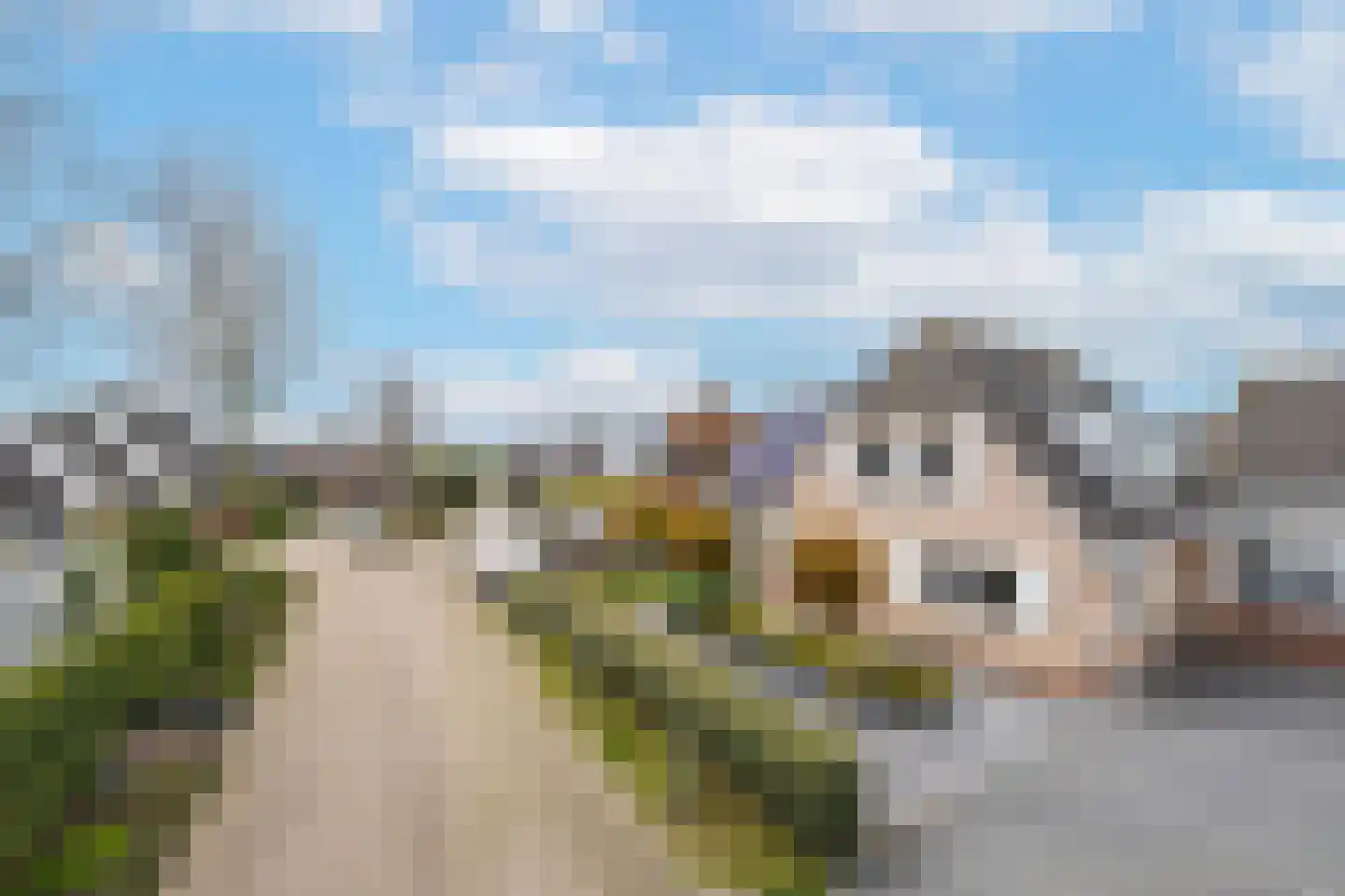 Gelderse Singel 80 Lienden thumbnail 78