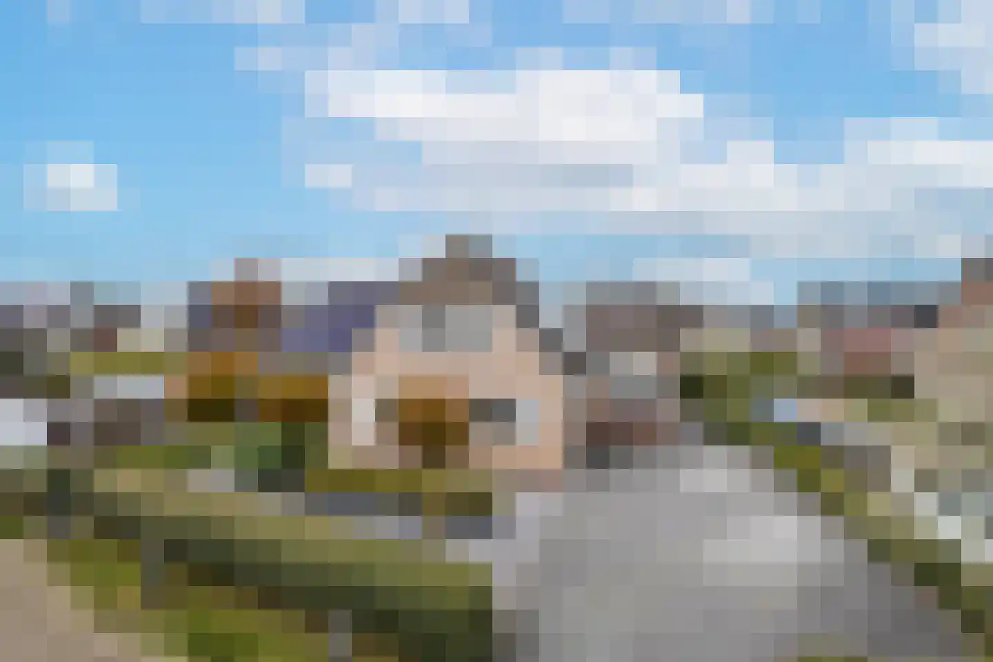 Gelderse Singel 80 Lienden thumbnail 8