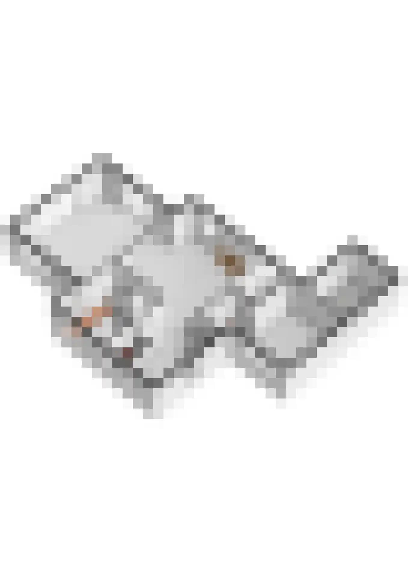 Gelderse Singel 80 Lienden thumbnail 80