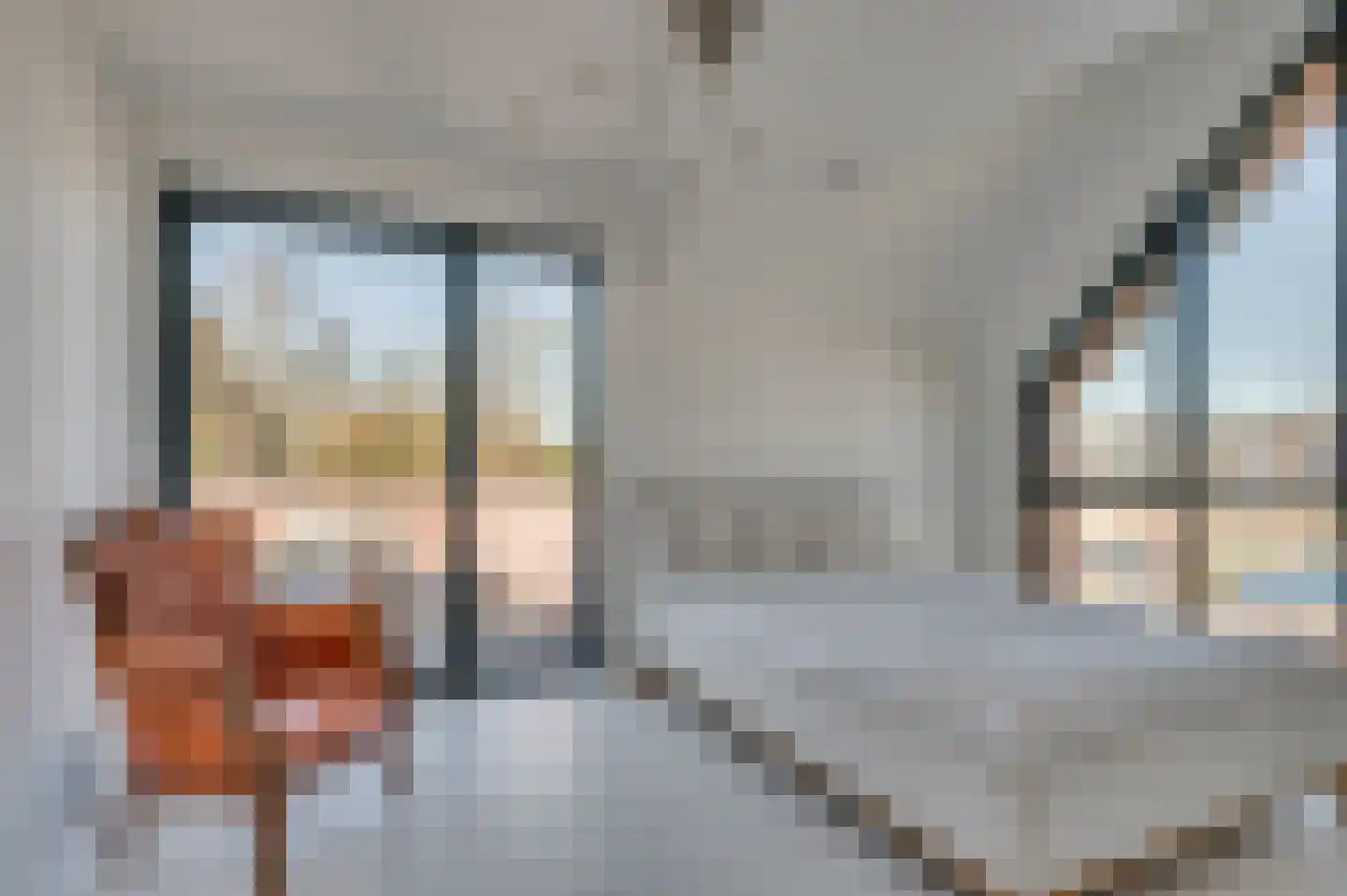 Geldersebaan 36 A Tegelen thumbnail 50