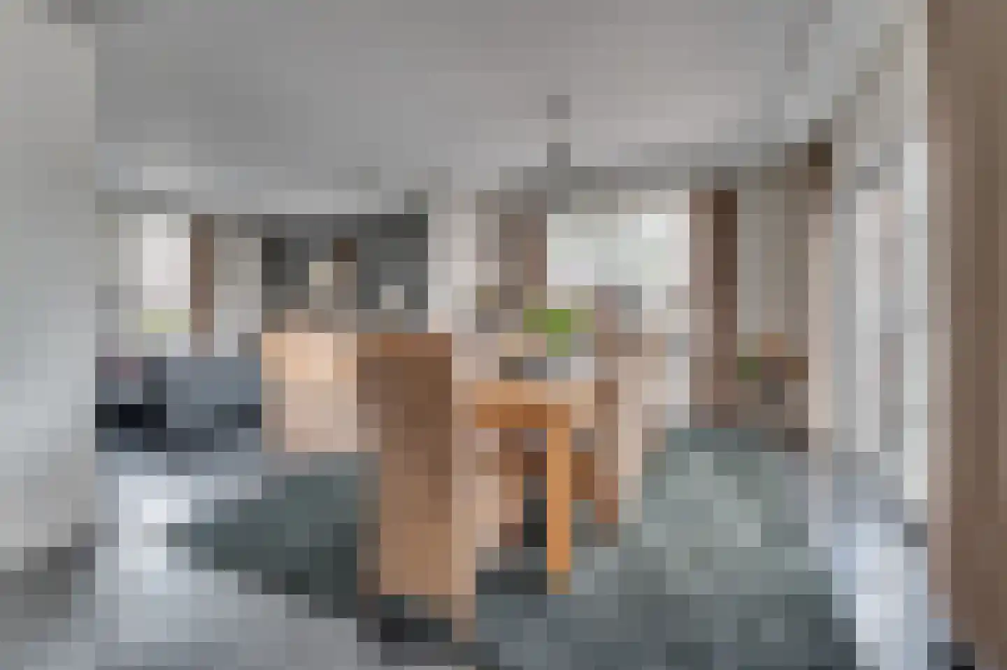 Geldersebaan 54 Tegelen thumbnail 11