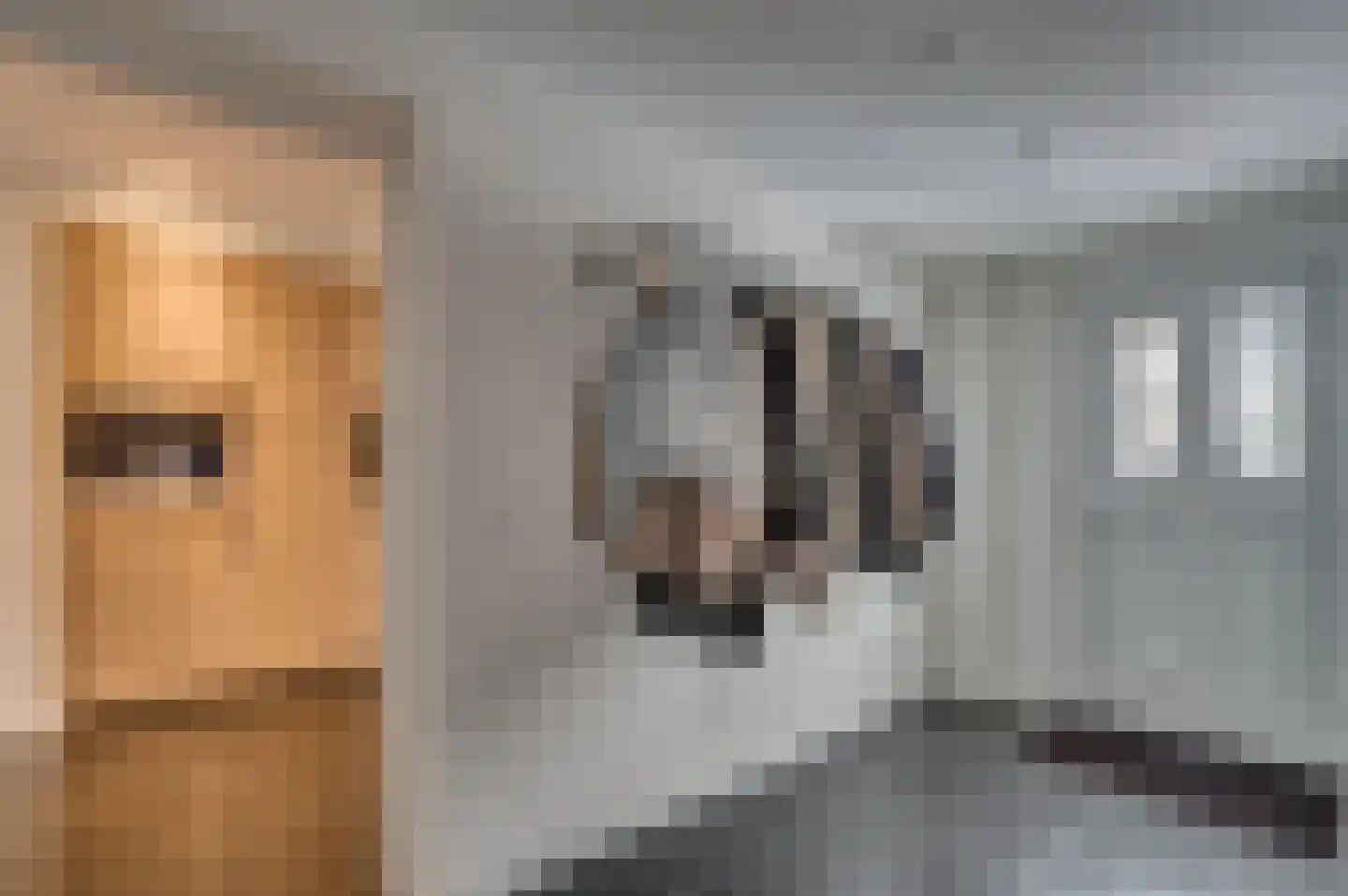 Geldersebaan 54 Tegelen thumbnail 23