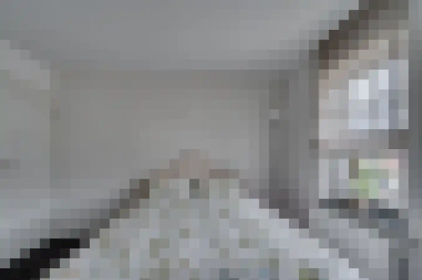 Geldersebaan 54 Tegelen thumbnail 37