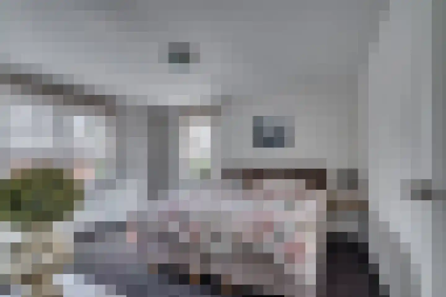Geldersebaan 54 Tegelen thumbnail 39