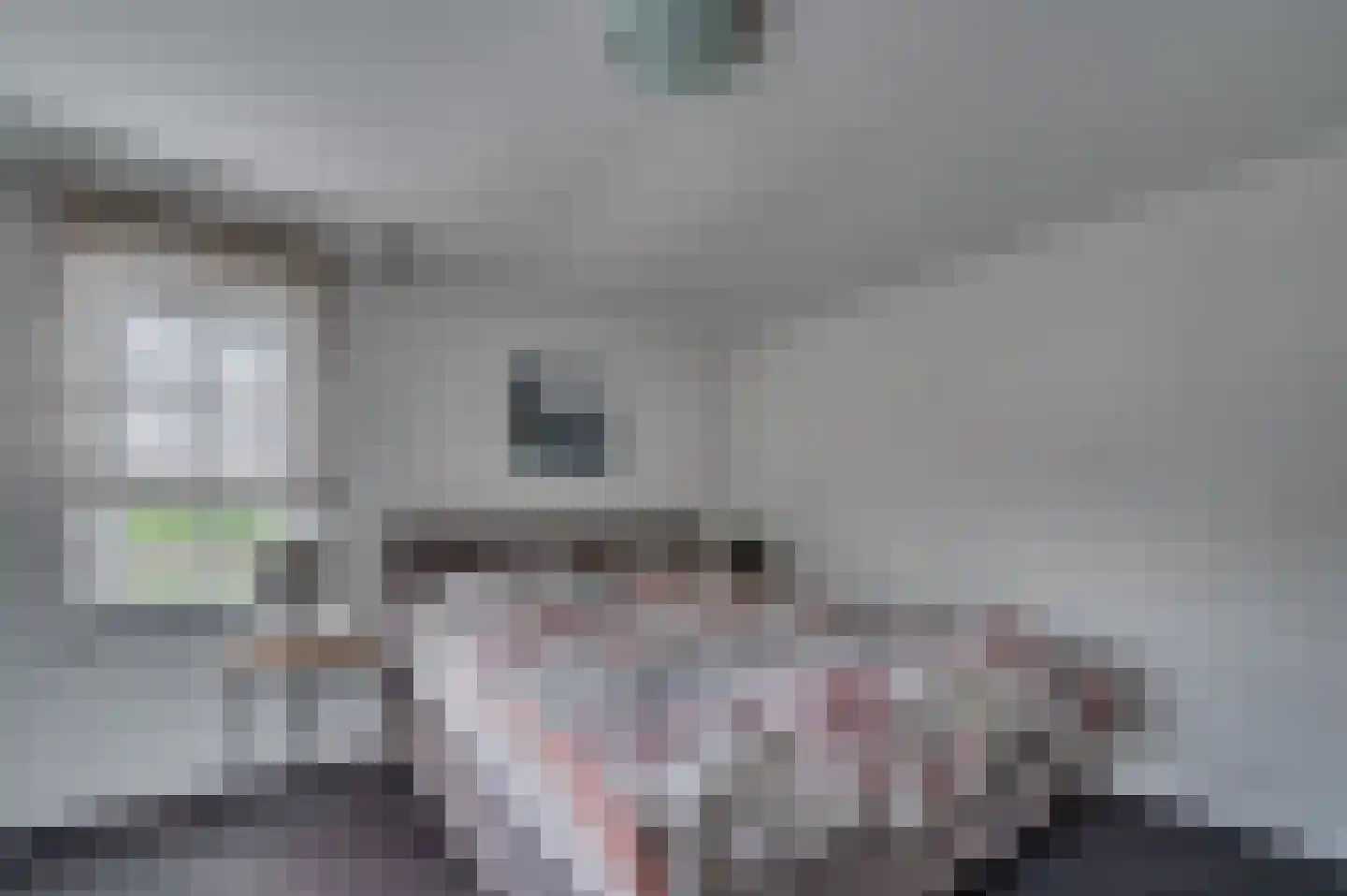 Geldersebaan 54 Tegelen thumbnail 42