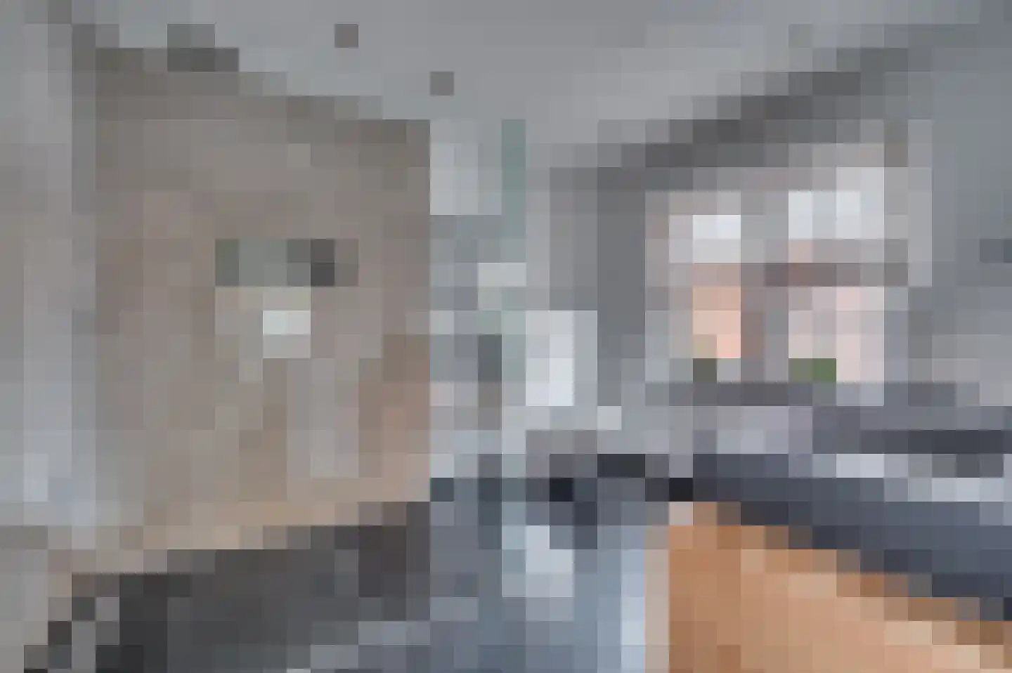 Geldersebaan 54 Tegelen thumbnail 45