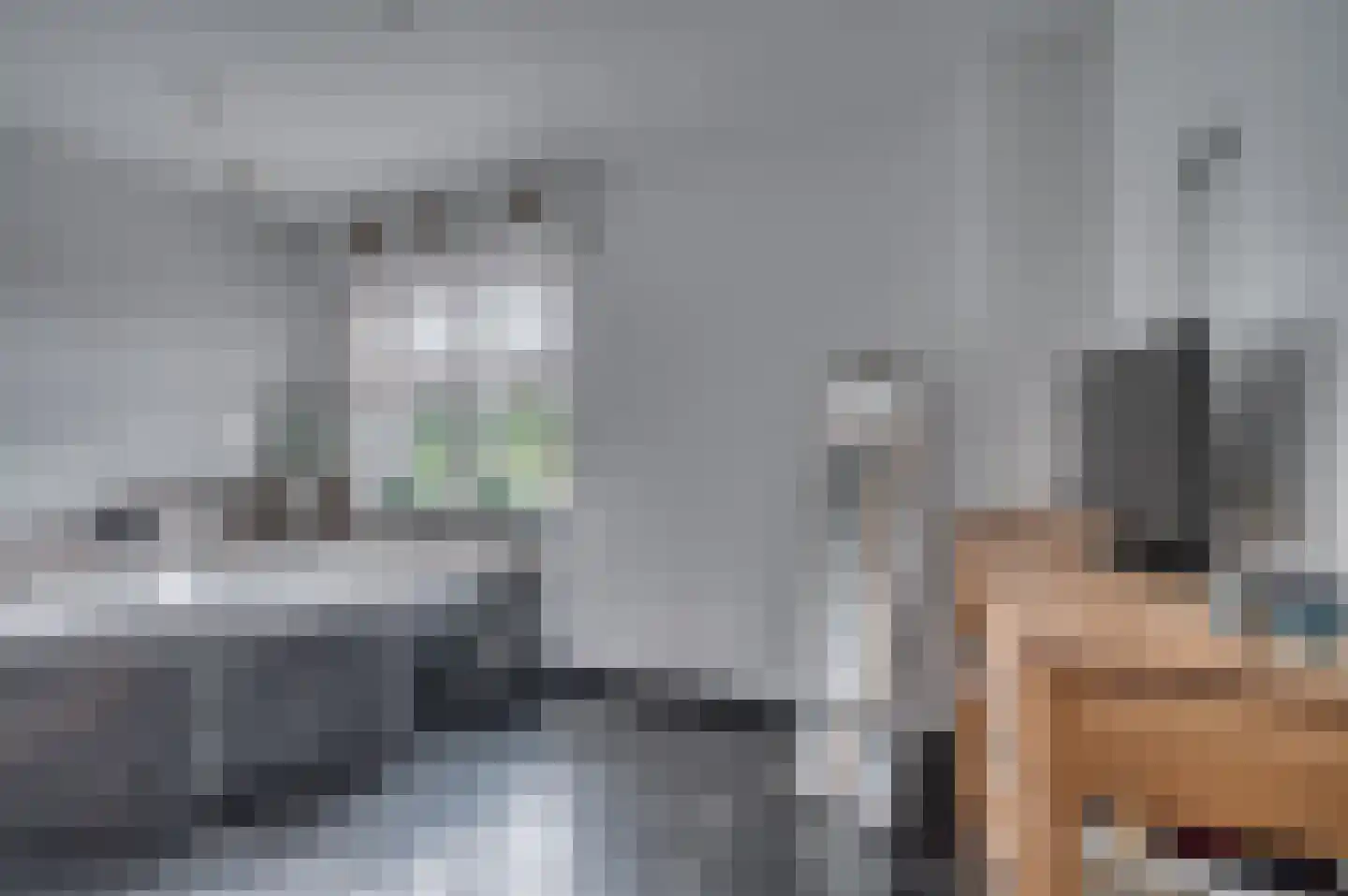 Geldersebaan 54 Tegelen thumbnail 50