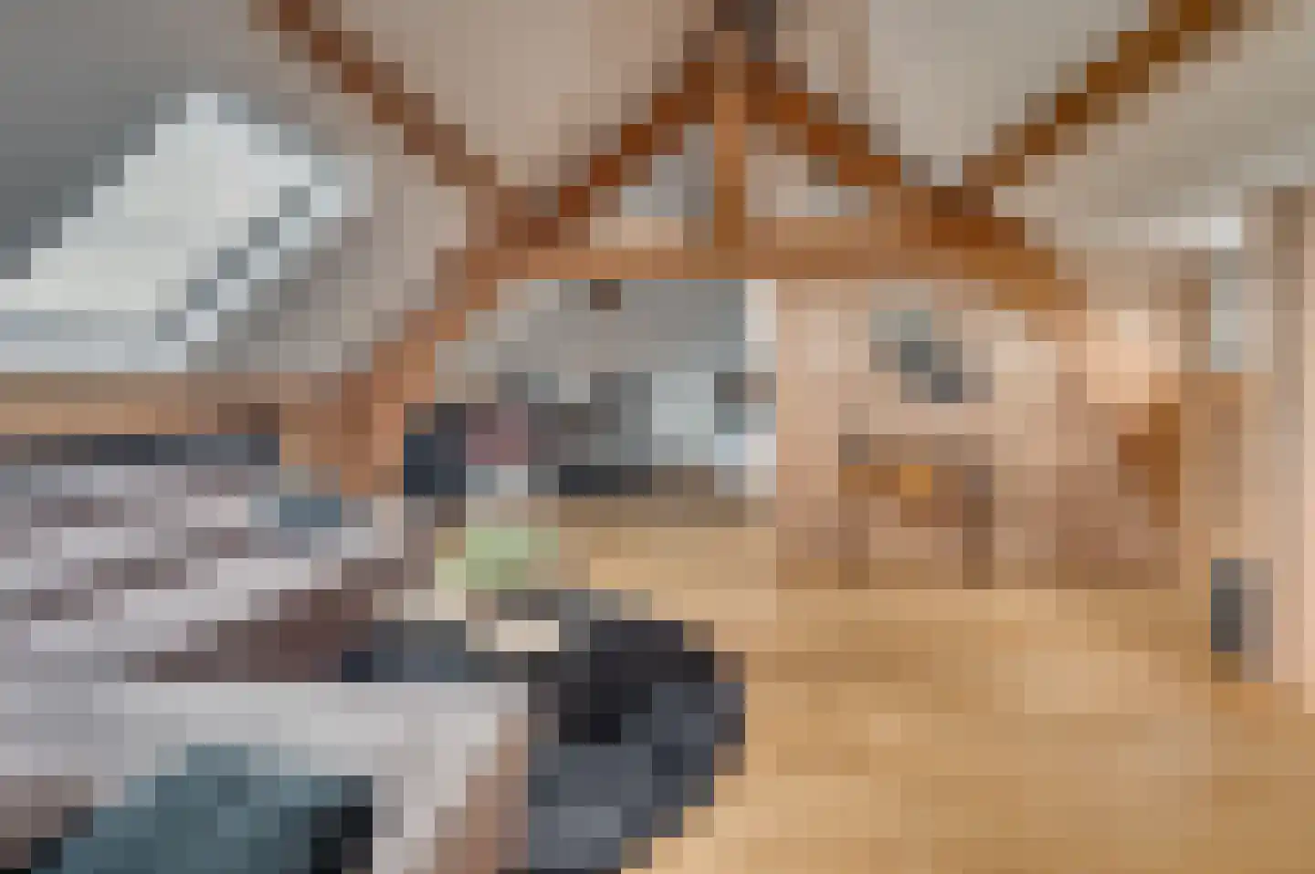 Geldersebaan 54 Tegelen thumbnail 53