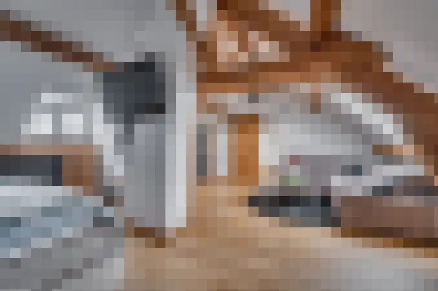 Geldersebaan 54 Tegelen thumbnail 56