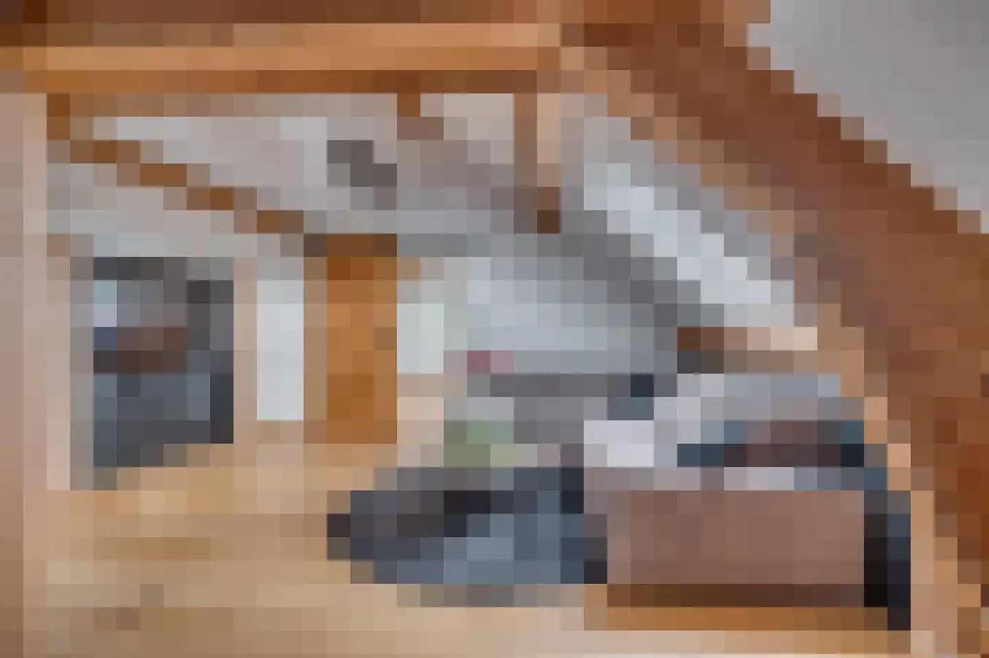 Geldersebaan 54 Tegelen thumbnail 57