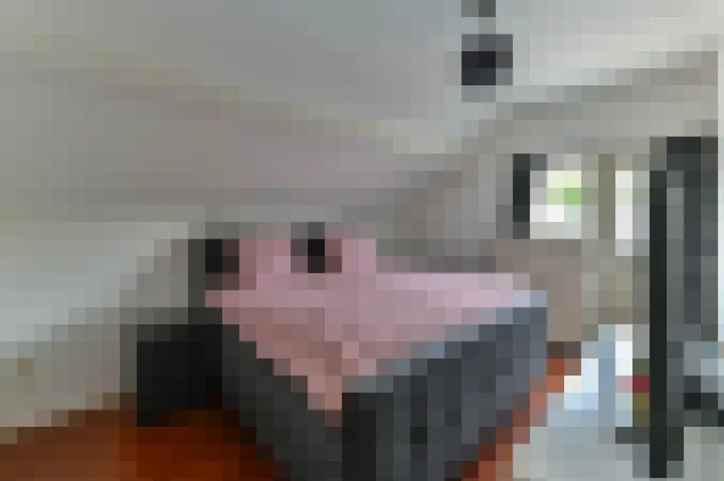 Geldersebaan 55 Tegelen thumbnail 15