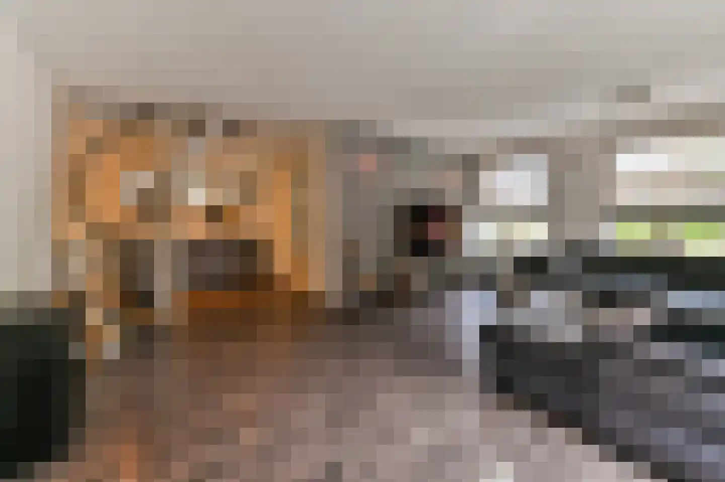 Geldersebaan 55 Tegelen thumbnail 6