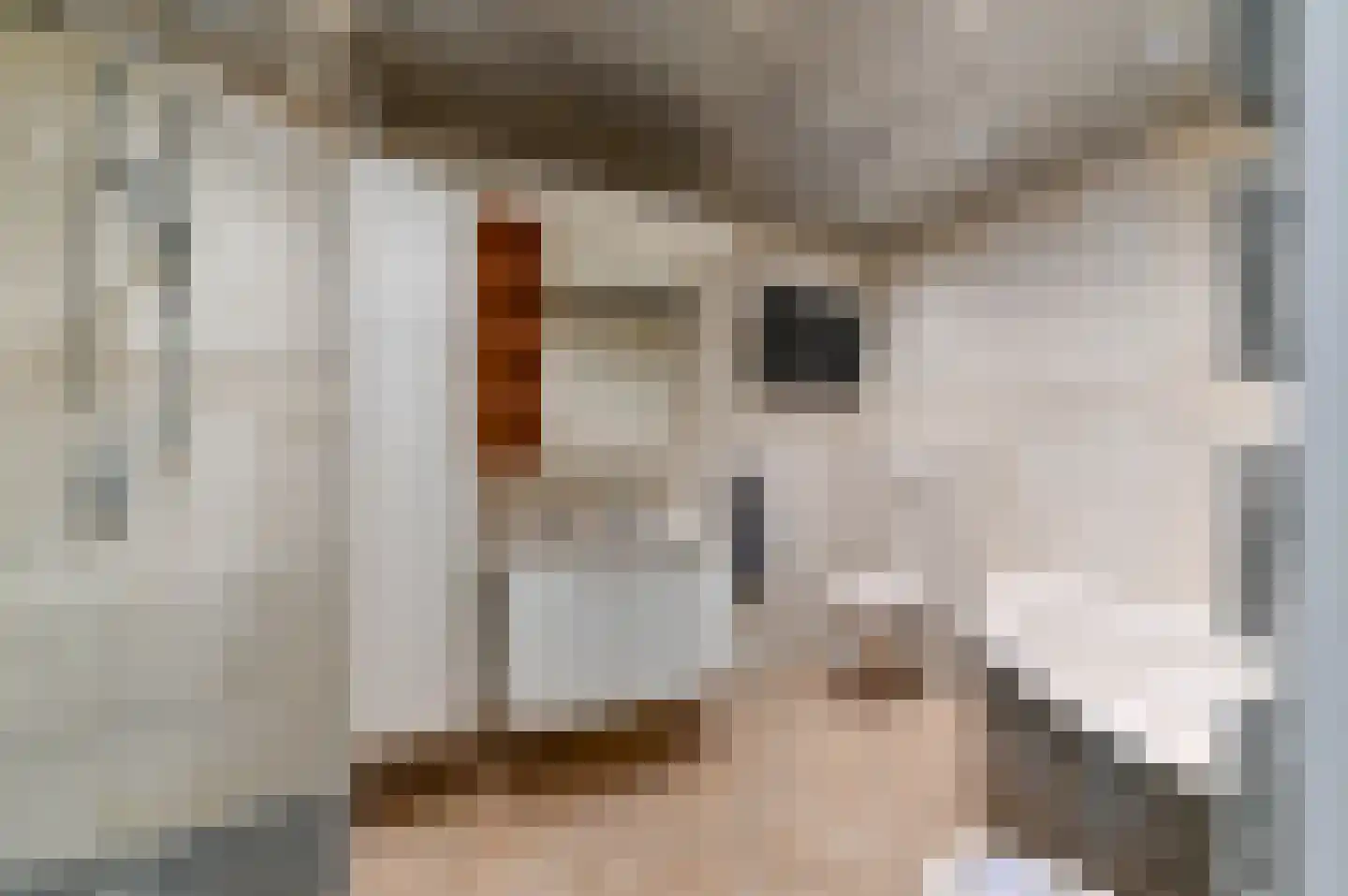 Geldersebaan 55 Tegelen thumbnail 9